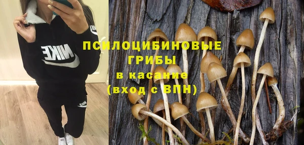 трава Надым
