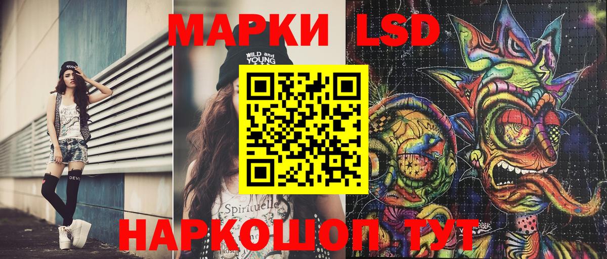 Галлюциногенные грибы Назрань