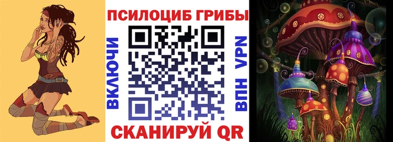 Псилоцибиновые грибы Psilocybe  продажа наркотиков  Назрань 