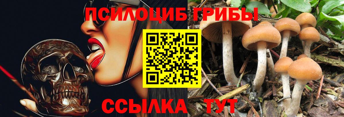 Псилоцибиновые грибы мухоморы Назрань
